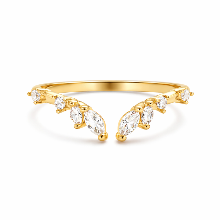 The Resilience Ring