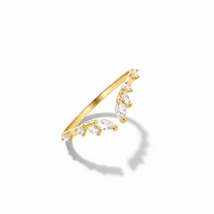The Resilience Ring
